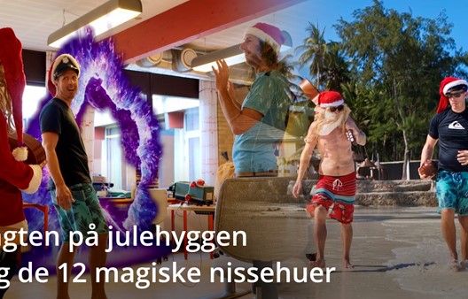Skærmbillede 2024 12 02 Kl. 16.08.38