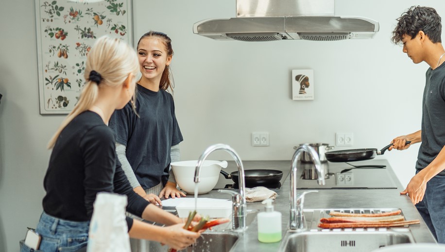 Kokkelinjen Glamsbjerg Efterskole