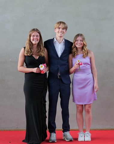 Galla 6