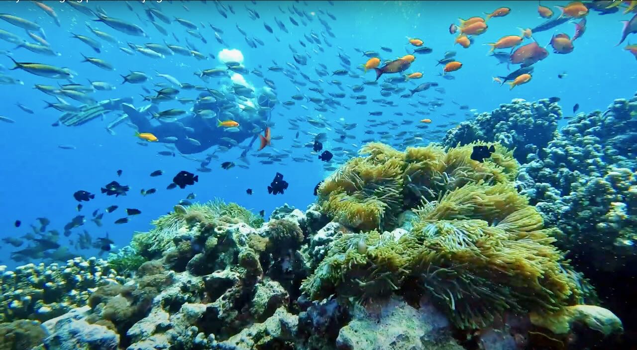 Skærmbillede 2024 05 27 Kl. 11.44.07 (1)